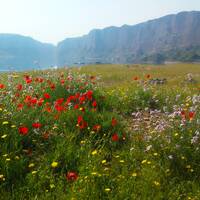 طبیعت زیبای روستا